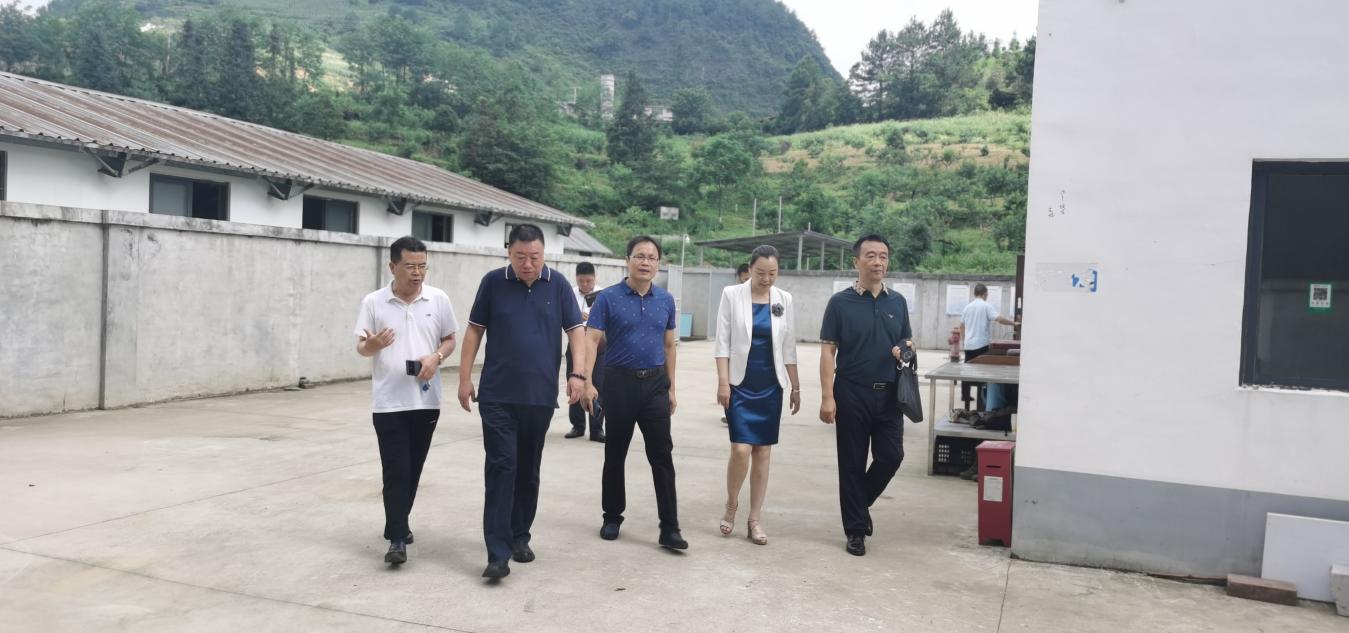 北京师范大学、天津职业技术师范大学专家一行赴我院调研交流   